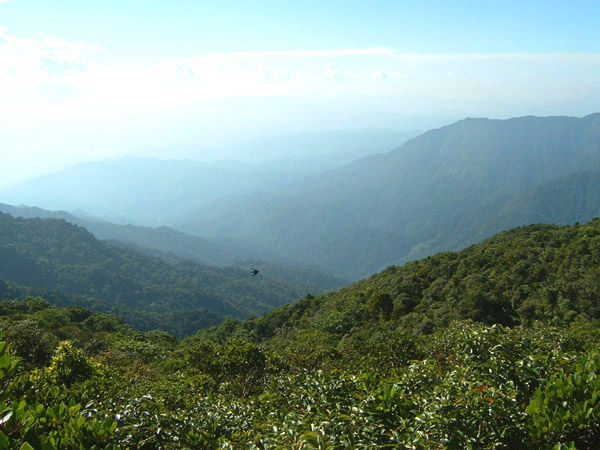 A view from top of Khao Luang