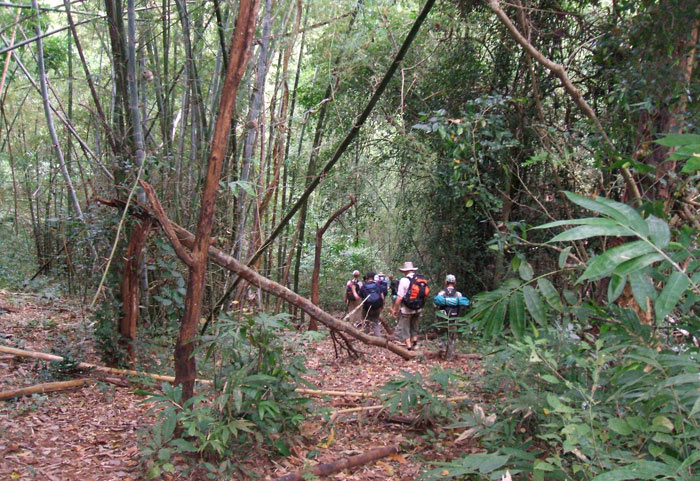 The hikers on the trail to Kuay Kha Khaeng