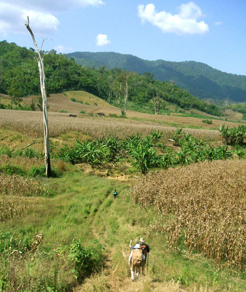 Arriving the end of the trail at a Karen village