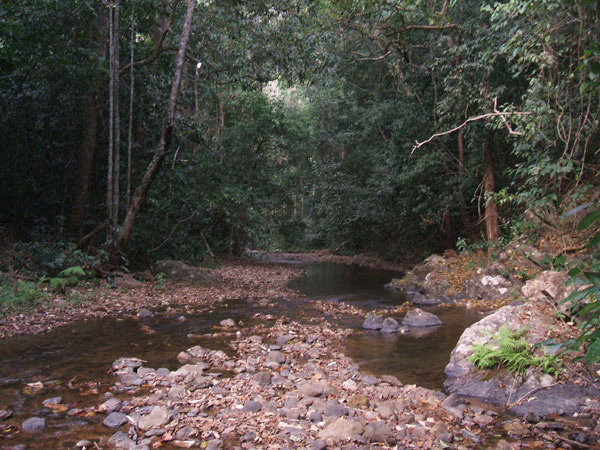 A trek in Kaeng Krachan national park