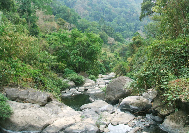 In the middle of thick jungle in Khao Yai national park