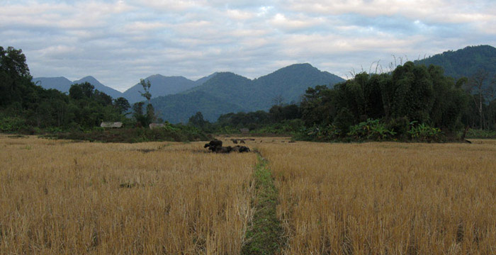 A quiet scene in Putao