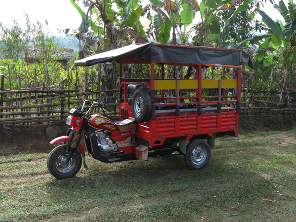 Tuk tuk three wheeler transporter