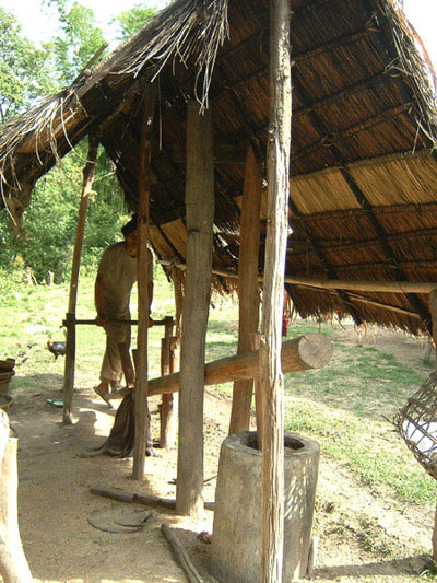 Paddy pounding in a hilltribe village, Chiang Mai