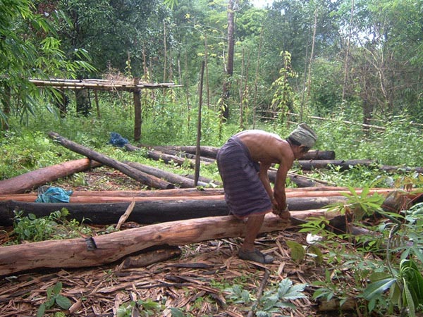 Cutting logs to make posts